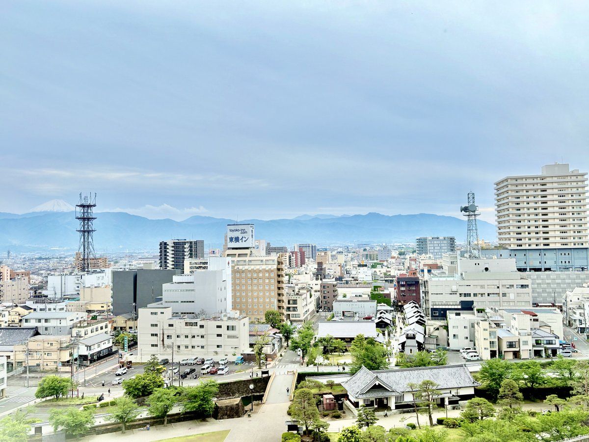 舞鶴城公園から見た甲府の街並み