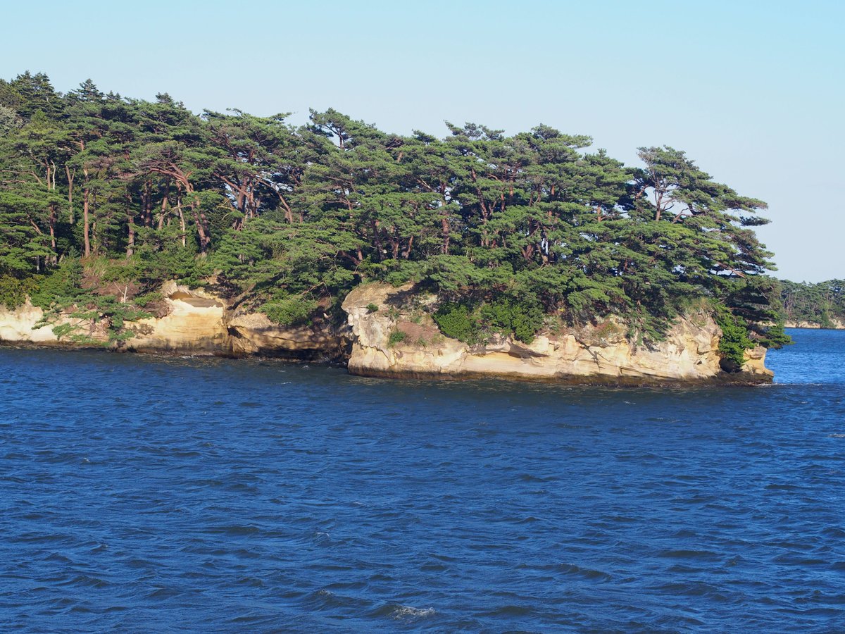 松島湾22