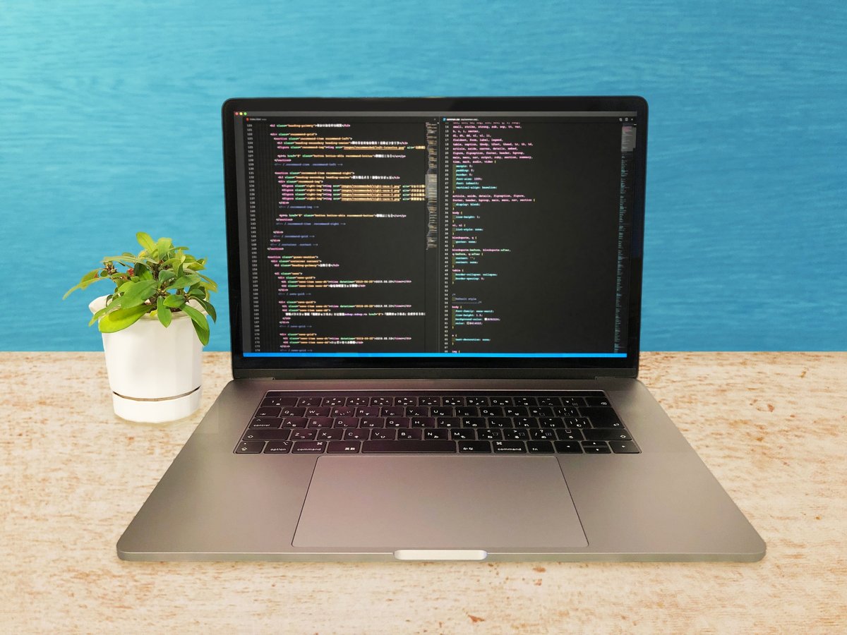 コーディング  html css ノマド ・在宅ワーク 観葉植物