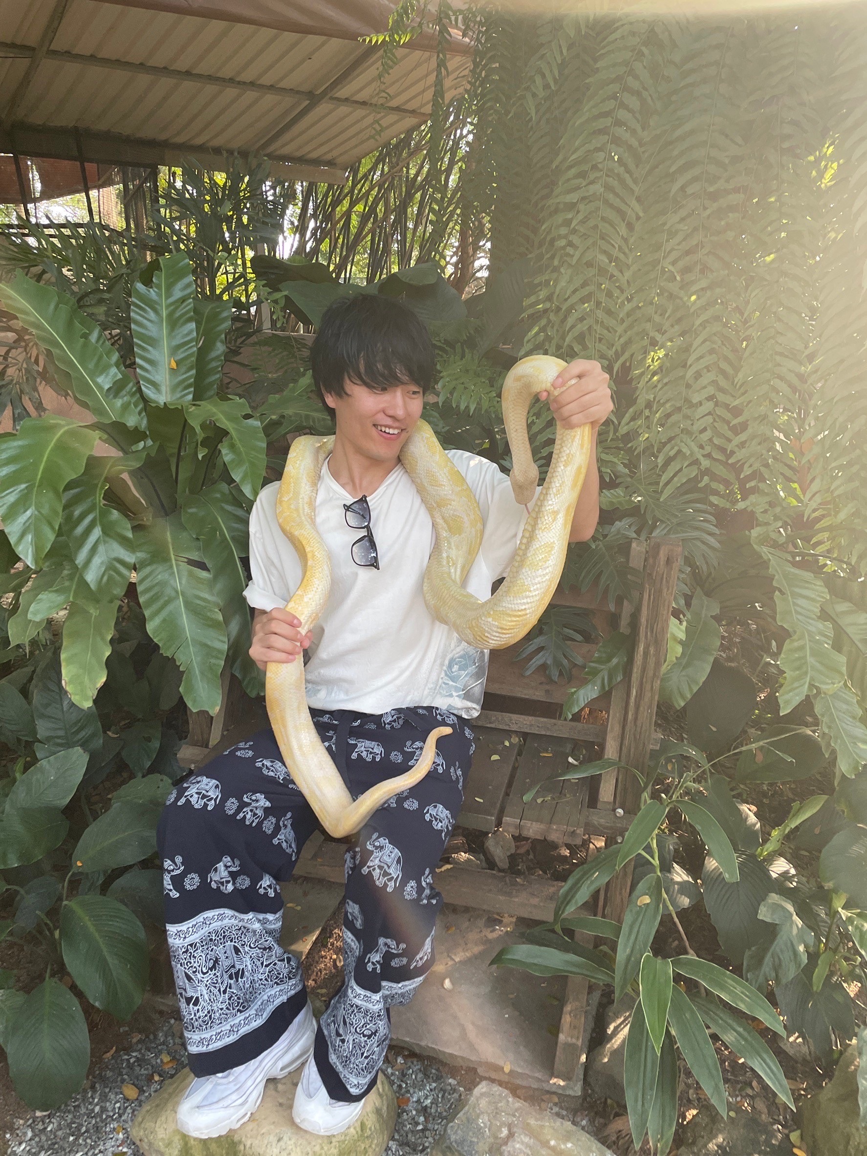 山本偉大
